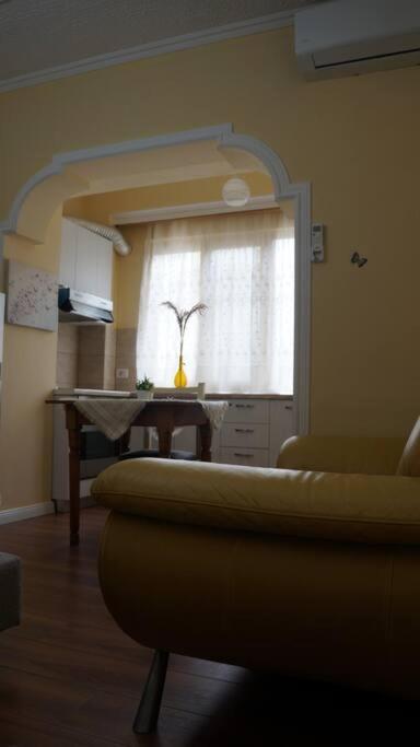 Alle'S M Shyri Studio Apartment 티라나 외부 사진